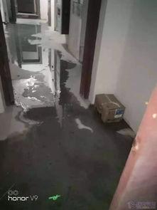 网友爆料瑞安视频播放,网友爆料背后的真相揭秘